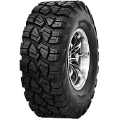 Каталог Forerunner 25x10-12 6PR 50F Victory TL от магазина Шинторг